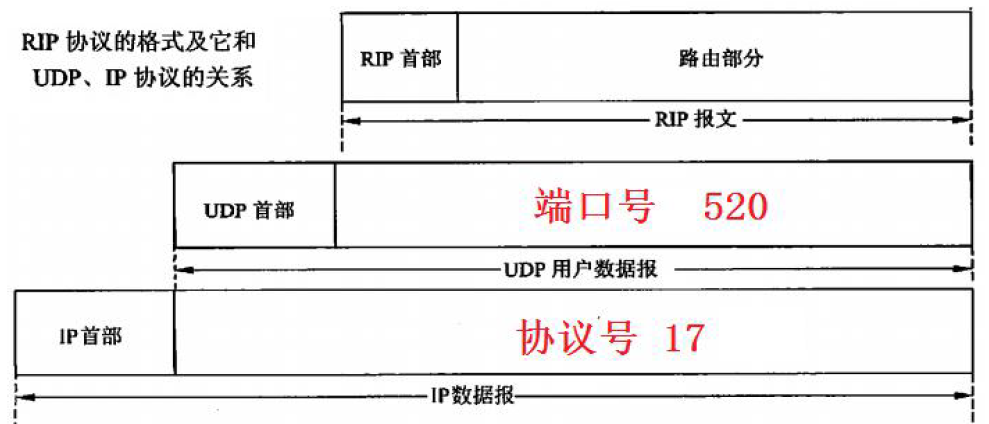 RIP数据包