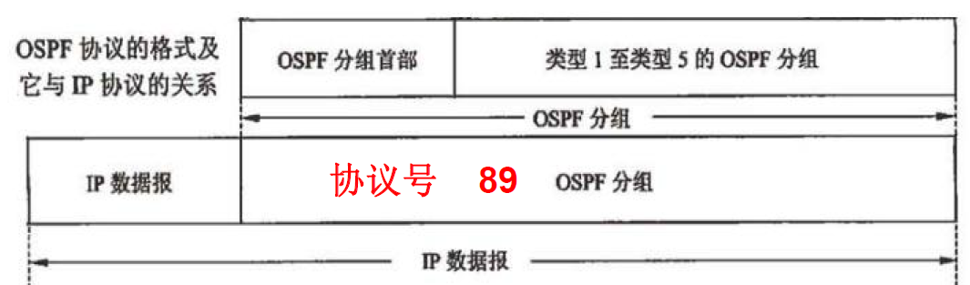 OSPF协议